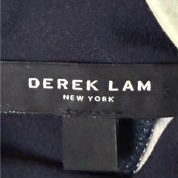 Derek Lam Silk Knee Length Mock Neck Striped Pleated Long Sleeves Keyhole Size 6 - Picture 7 of 12